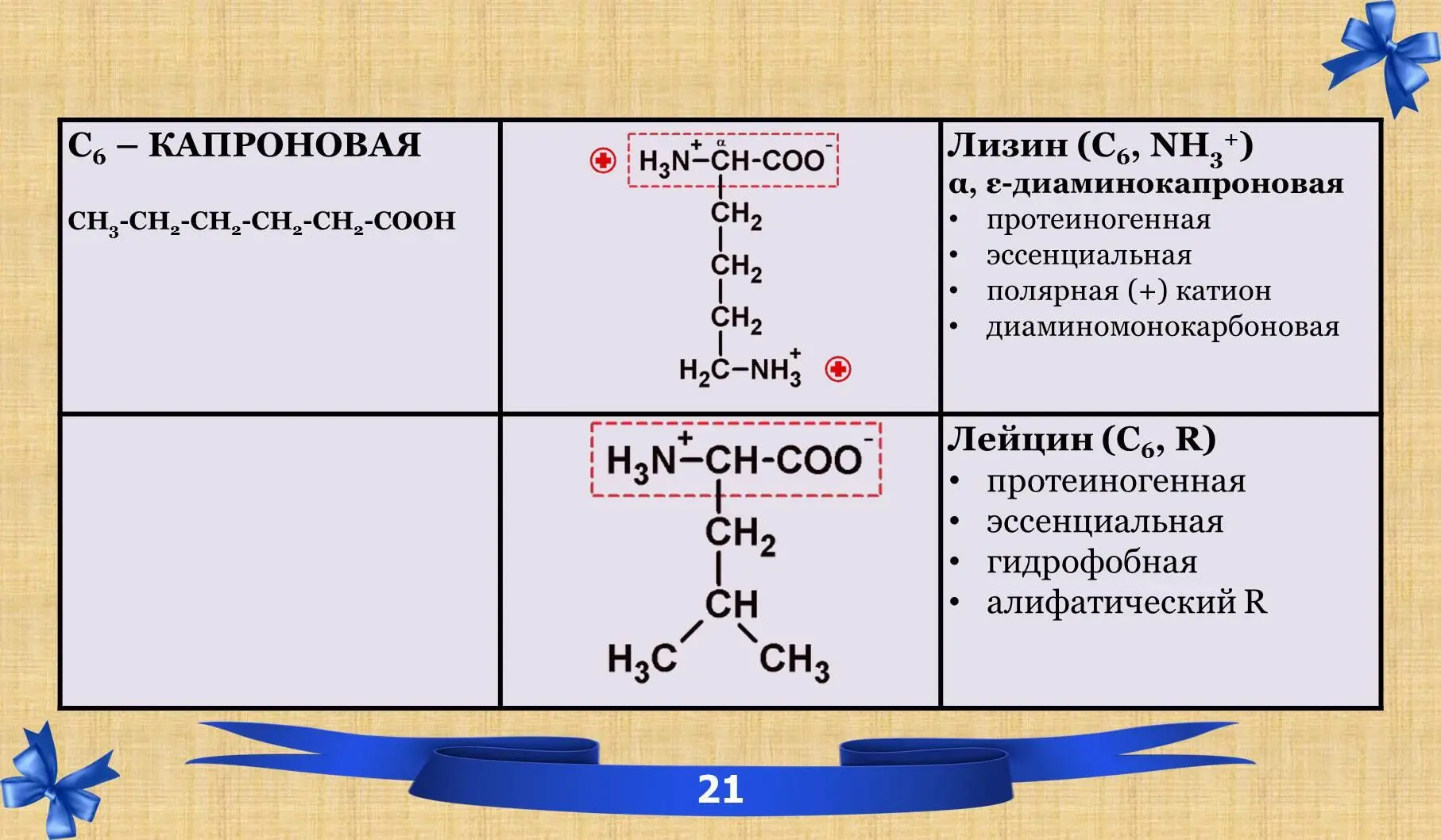 27 Амиды 28 Иминокислоты - фото 15