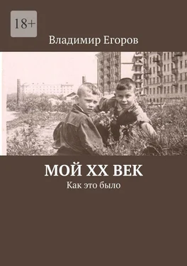 Владимир Егоров Мой ХХ век. Как это было обложка книги