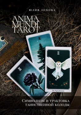 Юлия Зобова Anima Mundi Tarot. Символизм и трактовка таинственной колоды обложка книги