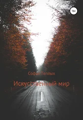 Софья Теплых - Искусственный мир