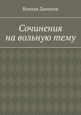 Володя Данилов Сочинения на вольную тему обложка книги