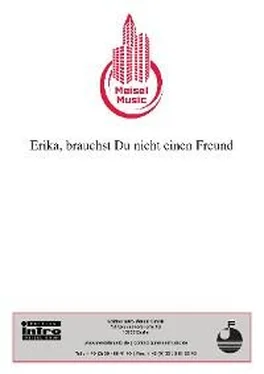 Will Meisel Erika, brauchst Du nicht einen Freund обложка книги