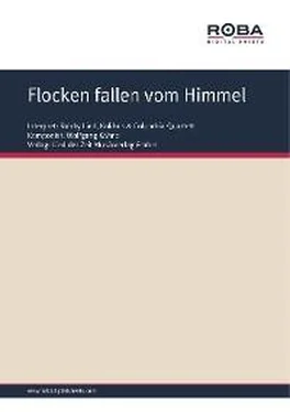 Wolfgang Kähne Flocken fallen vom Himmel обложка книги