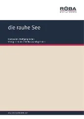 Horst Hoffmann - die rauhe See