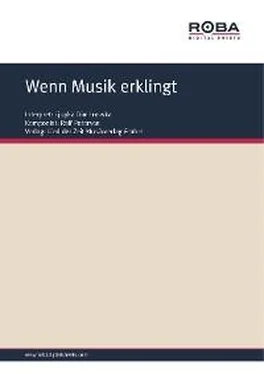 Karin Kersten Wenn Musik erklingt обложка книги