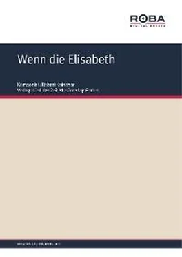 Robert Katscher Wenn die Elisabeth обложка книги