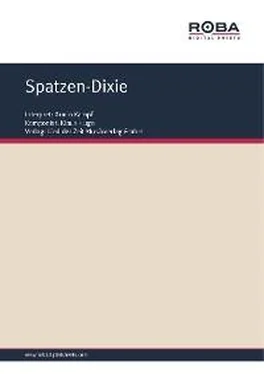 Dieter Schneider Spatzen-Dixie обложка книги