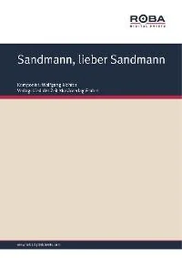 Wolfgang Richter Sandmann, lieber Sandmann обложка книги
