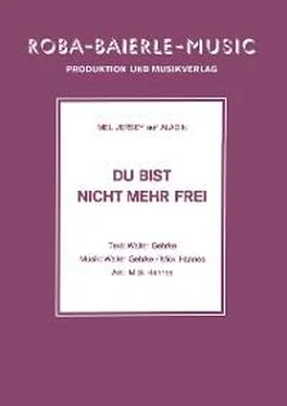 Walter Gehrke Du bist nicht mehr frei обложка книги