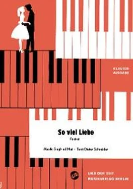 Dieter Schneider So viel Liebe! обложка книги