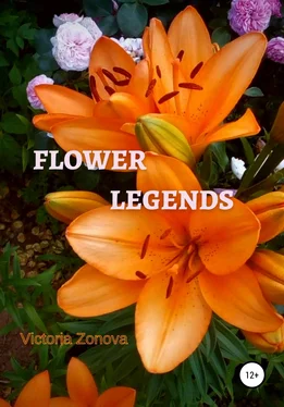 Виктория Зонова Flower legends обложка книги