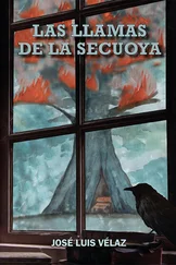 José Luis Velaz - Las llamas de la secuoya