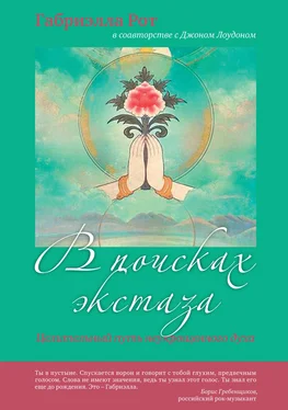 Габриэлла Рот В поисках экстаза. Целительный путь неукрощенного духа обложка книги