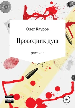 Олег Кауров Проводник душ обложка книги