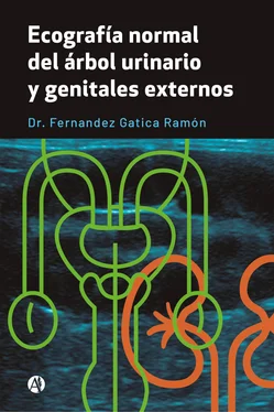 Dr. Fernandez Gatica Ramón Ecografía normal del árbol urinario y genitales externos обложка книги