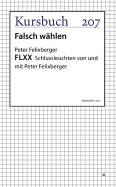 Peter Felixberger FLXX 7 обложка книги