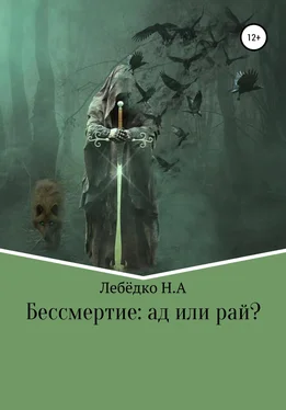 Никита Лебёдко Бессмертие: Ад или Рай? обложка книги