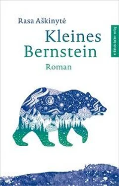 Rasa Aškinytė Kleines Bernstein обложка книги