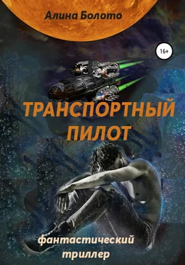 Алина Болото Транспортный пилот обложка книги
