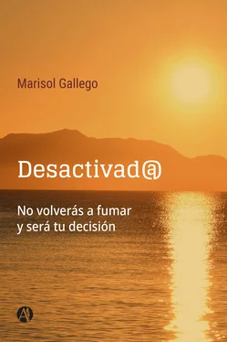 Marisol Gallego Desactivad@ обложка книги