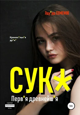 Эдуард Семенов Сук*. Перв*я древнейш*я обложка книги