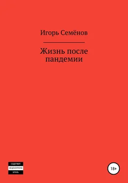 Игорь Семёнов Жизнь после пандемии обложка книги