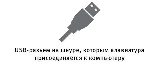 Если вы все сделали правильно на клавиатуре загорится лампочка вверху - фото 11