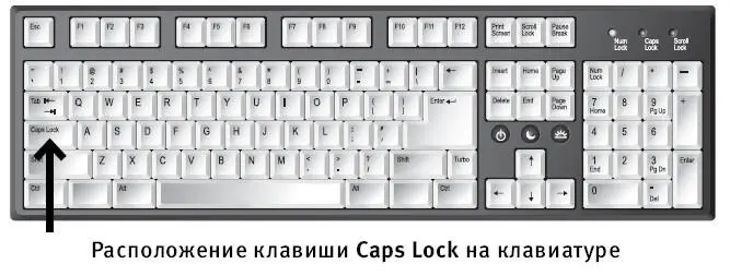 Большая длинная клавиша внизу Большая длинная клавишалинейка внизу по центру - фото 20
