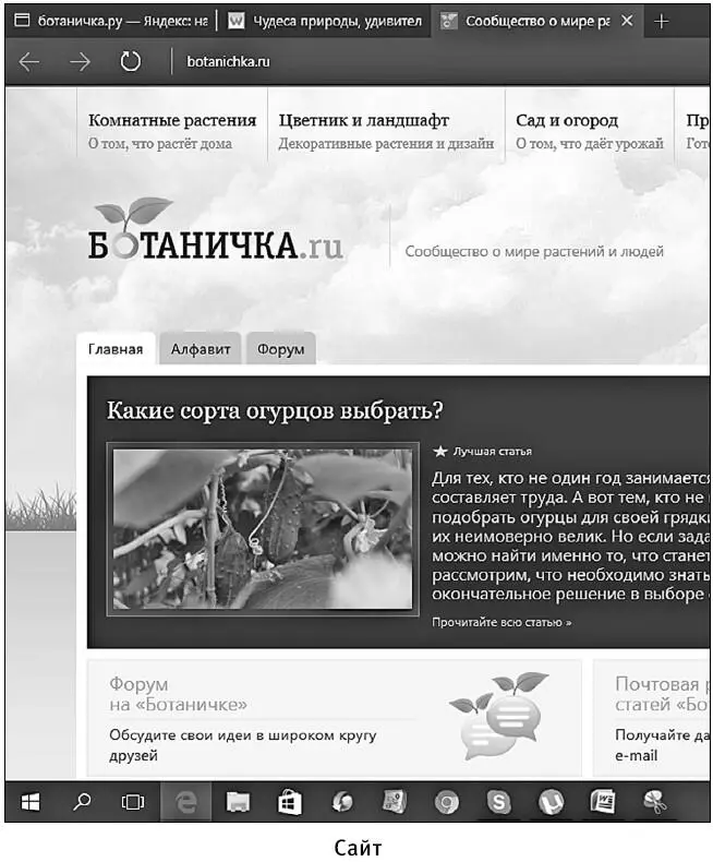 Посмотрите сверху есть надписи Комнатные растения Цветник и ландшафт и т - фото 254