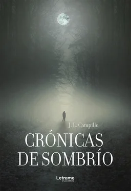 J. L. Campillo Crónicas de sombrío обложка книги