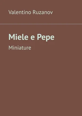 Valentino Ruzanov Miele e Pepe. Miniature обложка книги