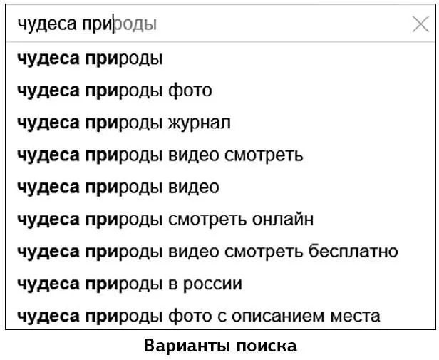 Программа откроет перед вами список сайтов которые относятся к введенному - фото 211