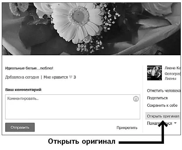 3 Теперь картинка открылась на отдельной страничке Наводите курсор на любое - фото 275