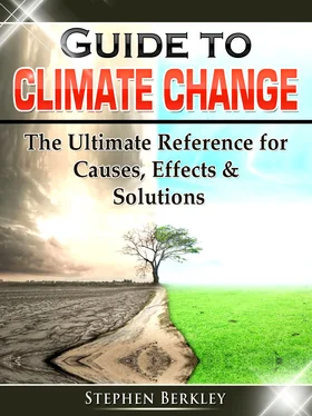 Stephen Berkley Guide to Climate Change: The Ultimate Reference for Causes, Effects & Solutions обложка книги