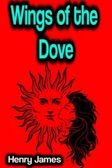 Henry James - Wings of the Dove