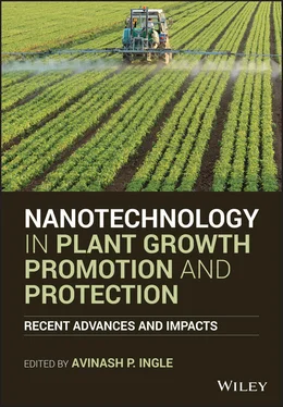 Неизвестный Автор Nanotechnology in Plant Growth Promotion and Protection обложка книги