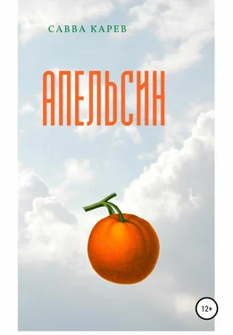 Савва Карев Апельсин обложка книги