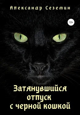 Александр Сеземин Затянувшийся отпуск с черной кошкой обложка книги