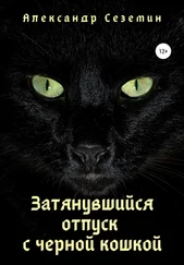 Александр Сеземин - Затянувшийся отпуск с черной кошкой