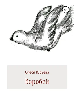 Олеся Юрьева Воробей обложка книги