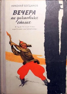 Николай Богданов Вечера на укомовских столах обложка книги
