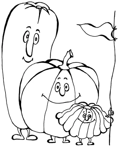 Родиной тыквы обыкновенной является Мексика Растение разводилось там еще за - фото 11