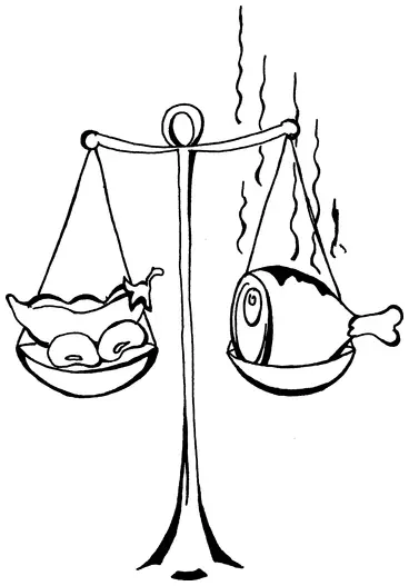 Родина бобов страны Средиземноморья откуда они с незапамятных времен - фото 12