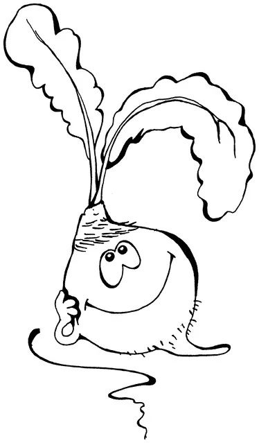 Научное название Beta Vulgaris означает свекла обыкновенная и в русском - фото 22