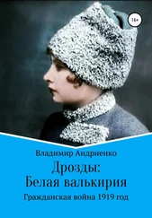 Владимир Андриенко - Дрозды - Белая Валькирия