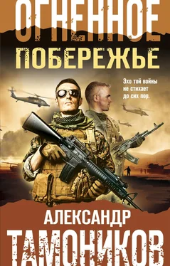 Александр Тамоников Огненное побережье обложка книги