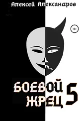 Алексей Александров - Боевой жрец – 5
