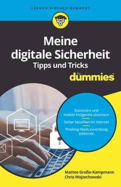 Matteo Grosse-Kampmann Meine digitale Sicherheit Tipps und Tricks für Dummies обложка книги