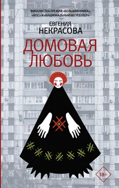 Евгения Некрасова Домовая любовь обложка книги