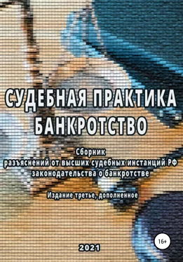 Владимир Лунев Сборник разъяснений высших судебных инстанций РФ законодательства о банкротстве обложка книги